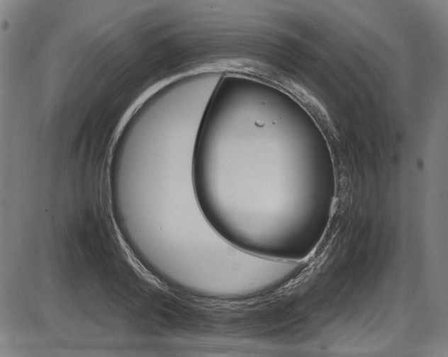 X0000087640792200705031509