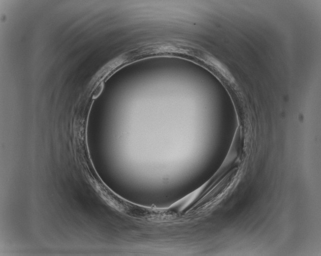 X0000087640793200705031509