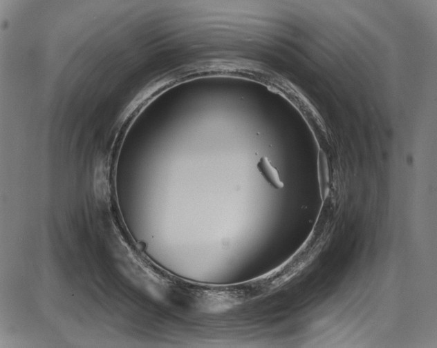 X0000087640794200705031509