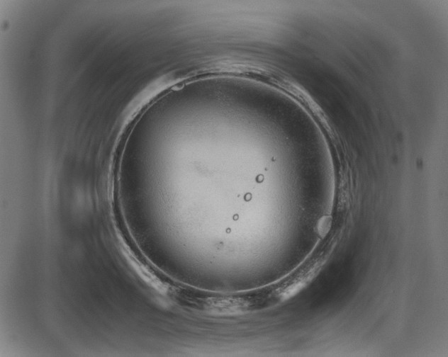 X0000087640795200705031509