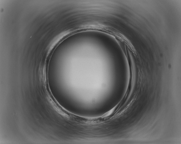 X0000087640796200705031509