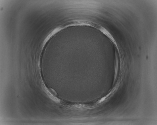 X0000087640797200705031509