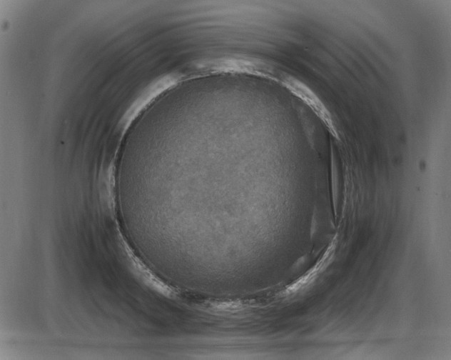 X0000087640798200705031509