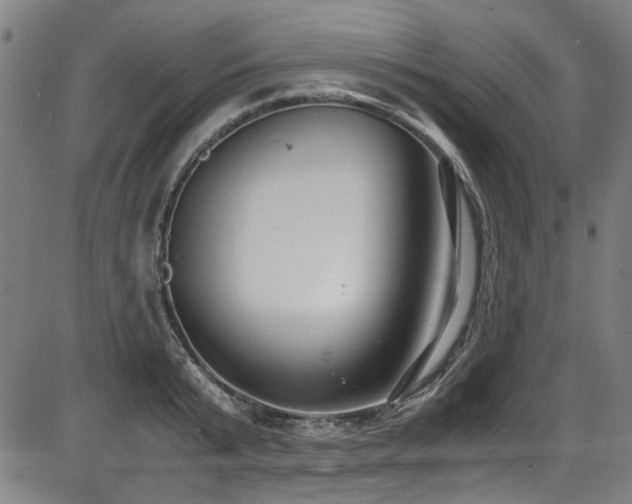 X0000087640799200705031509