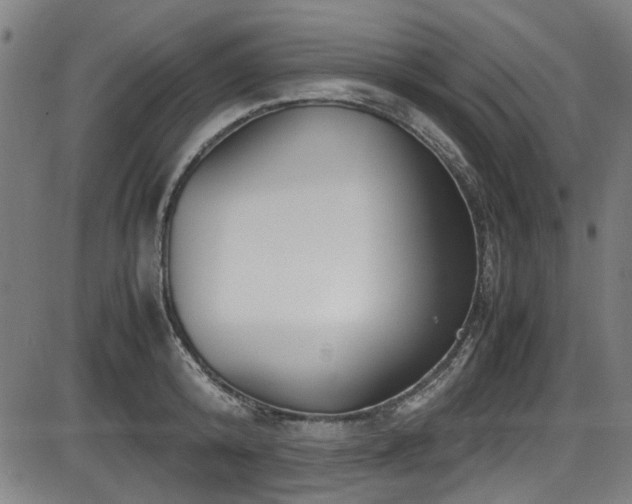 X0000087640800200705031509