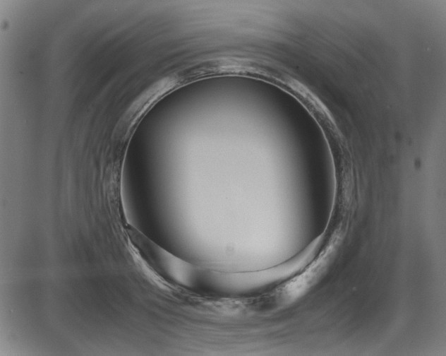 X0000087640801200705031509