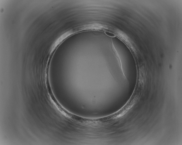 X0000087640802200705031509