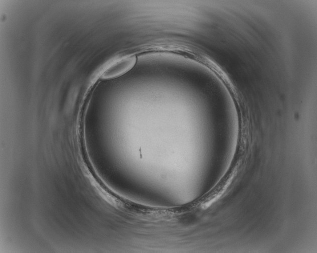 X0000087640803200705031509