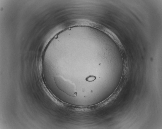 X0000087640804200705031509