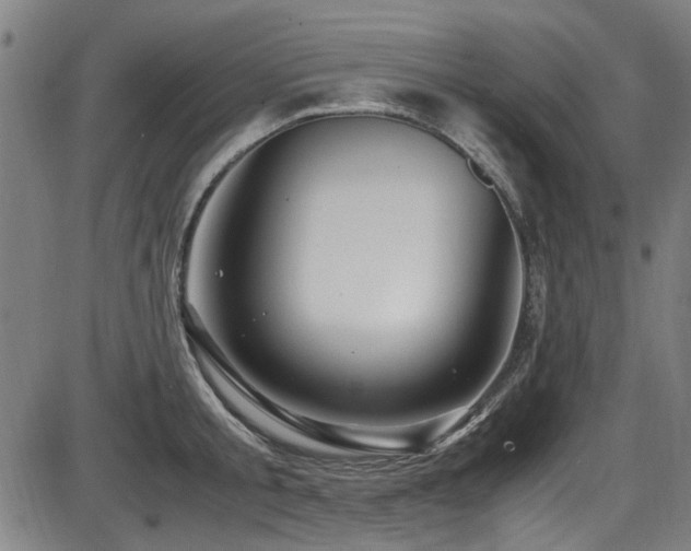 X0000087640805200705031509