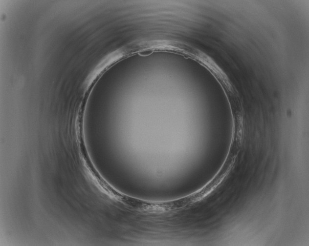 X0000087640806200705031509