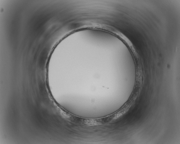 X0000087640807200705031509