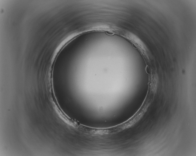 X0000087640808200705031509