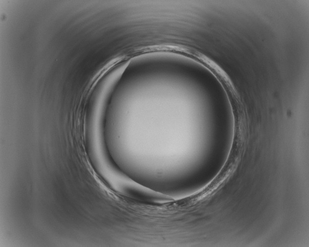 X0000087640809200705031509