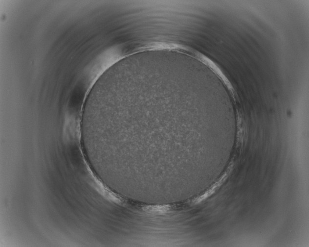 X0000087640810200705031509