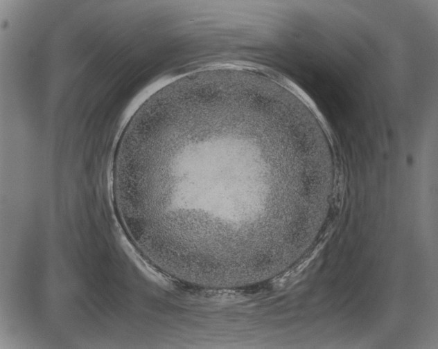 X0000087640811200705031509