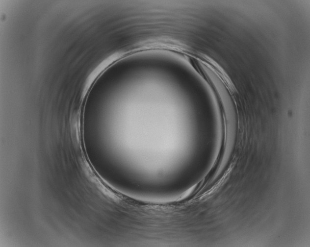 X0000087640812200705031509