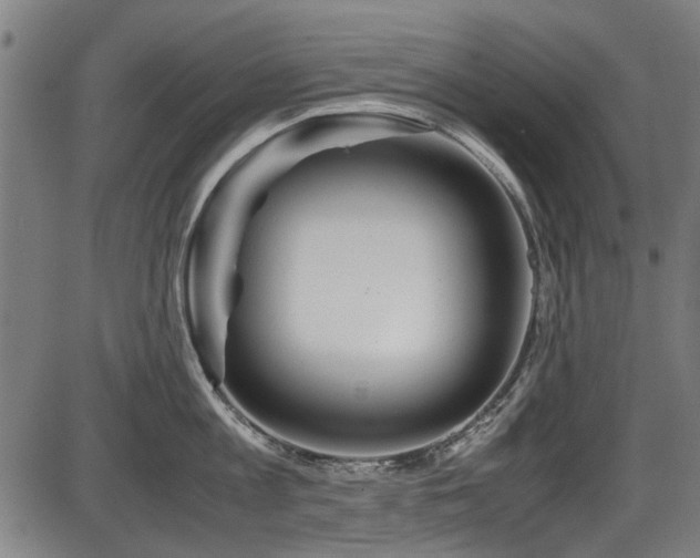 X0000087640813200705031509