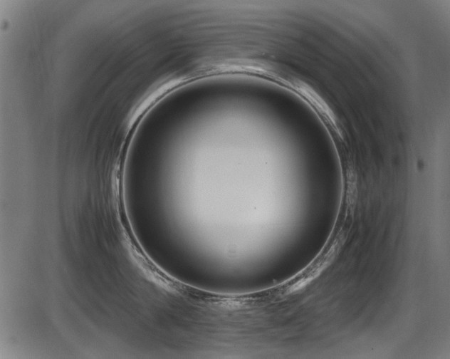 X0000087640814200705031509