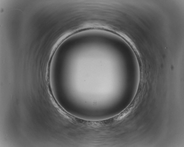 X0000087640815200705031509