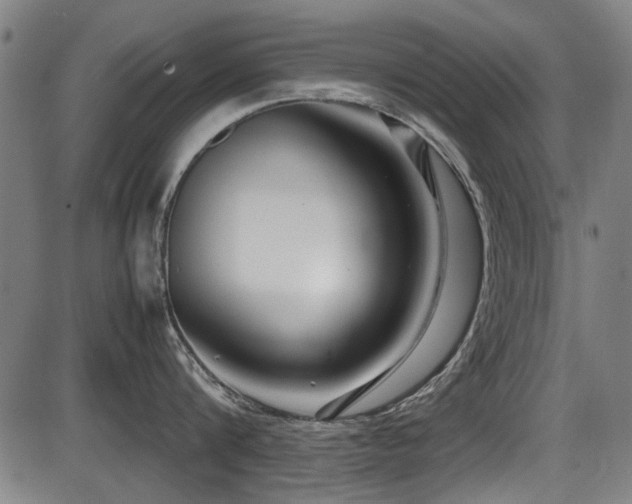 X0000087640816200705031509