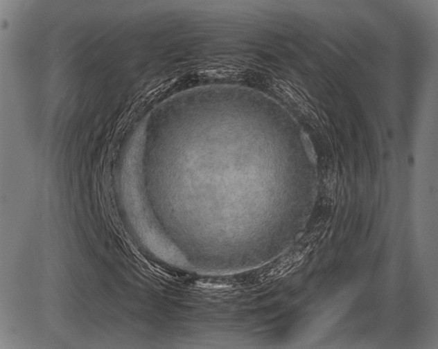 X0000087640817200705031508