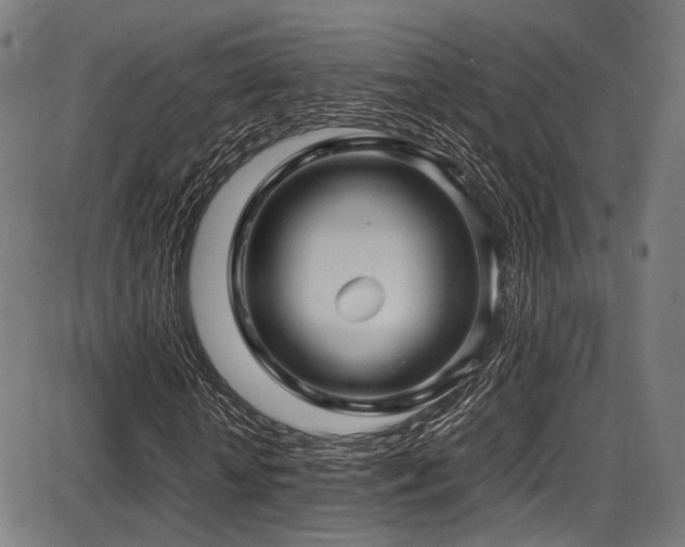 X0000087640818200705031508