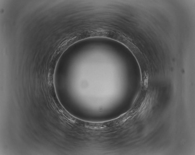 X0000087640819200705031508