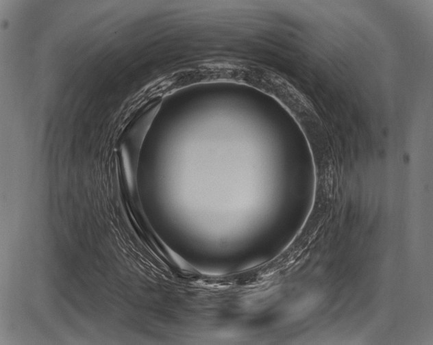 X0000087640821200705031508