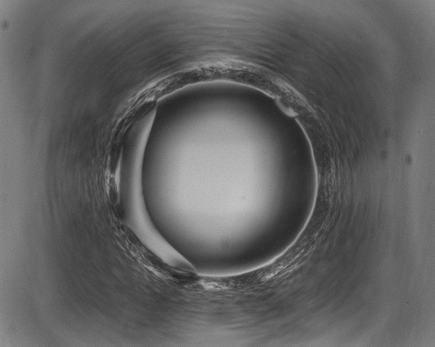 X0000087640822200705031508