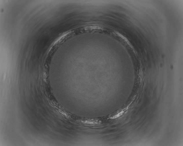 X0000087640823200705031508