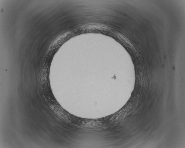 X0000087640824200705031508