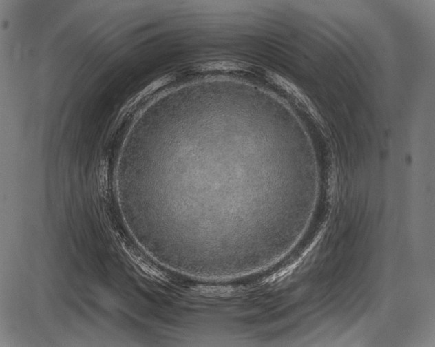 X0000087640825200705031508