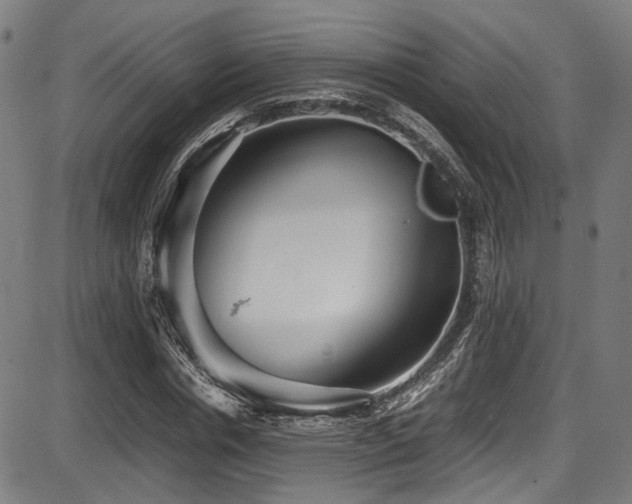 X0000087640826200705031508