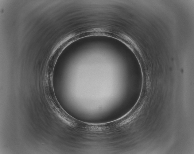 X0000087640827200705031508