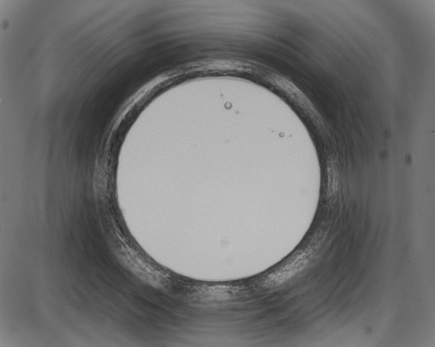 X0000087640828200705031508