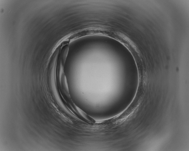 X0000087640829200705031508