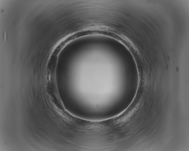 X0000087640830200705031508