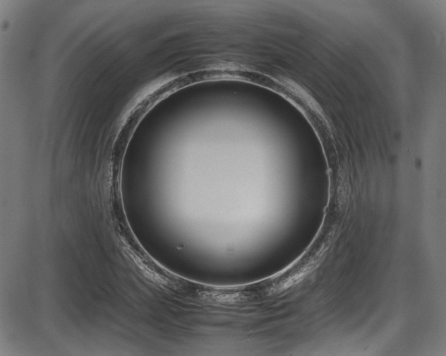 X0000087640831200705031508