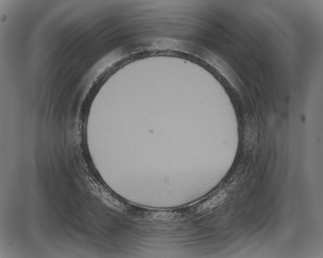 X0000087640832200705031508