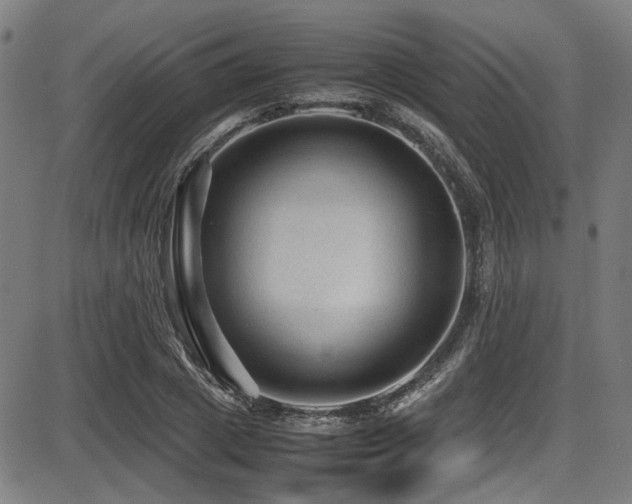 X0000087640833200705031508