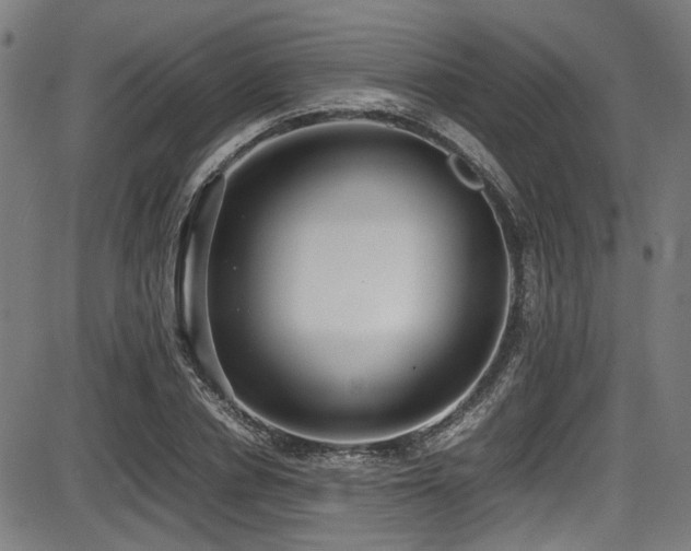 X0000087640834200705031508