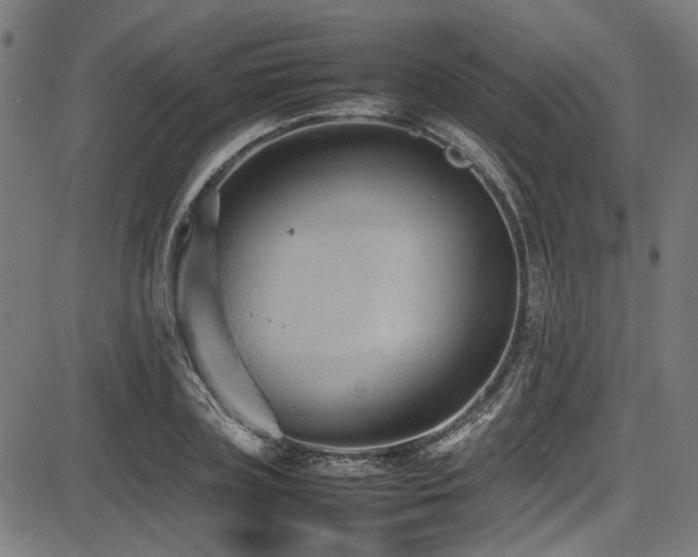 X0000087640835200705031508