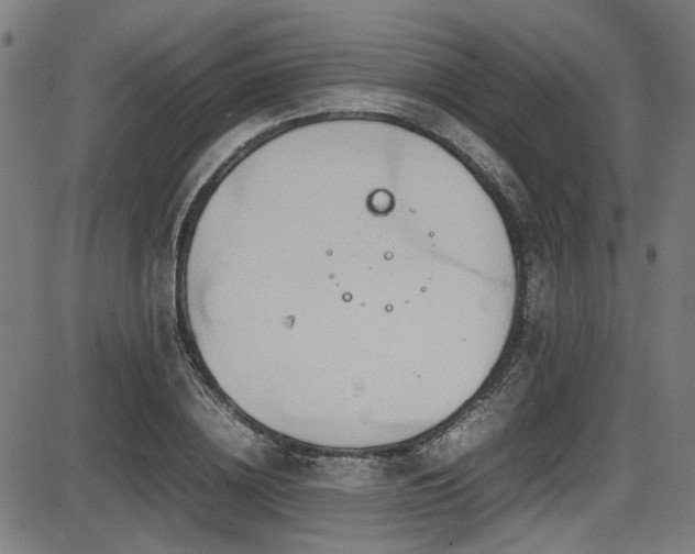 X0000087640836200705031508