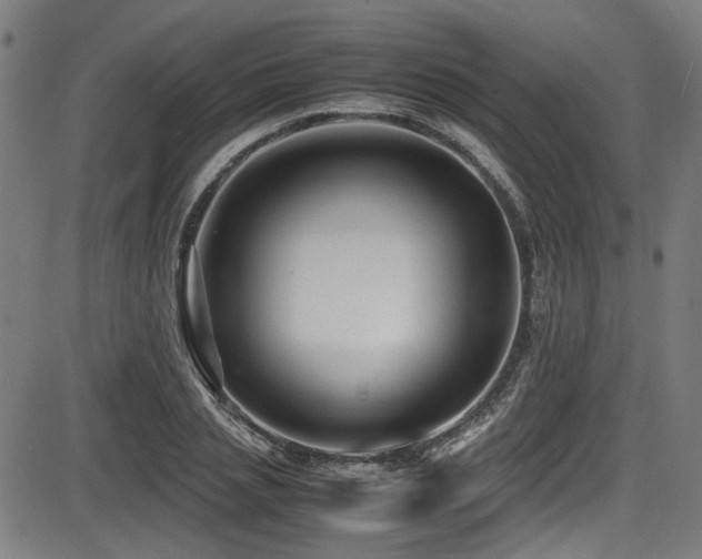 X0000087640837200705031508