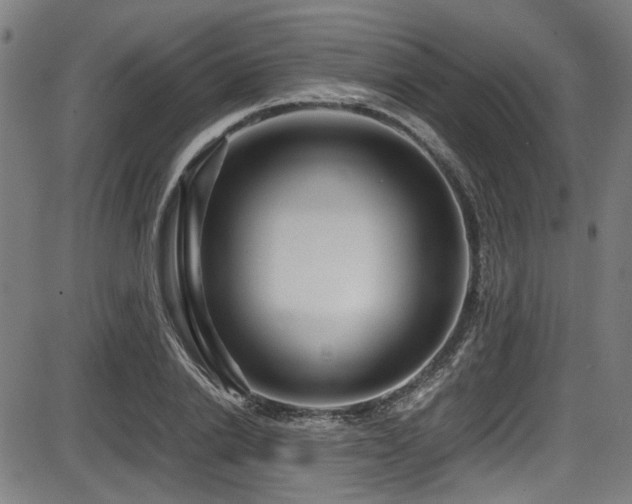 X0000087640838200705031508