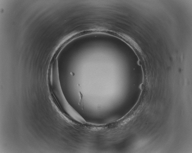 X0000087640839200705031508