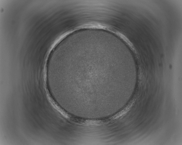 X0000087640840200705031508