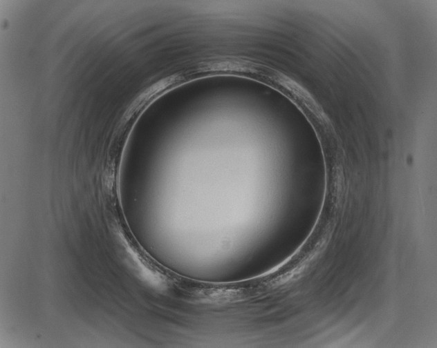 X0000087640841200705031508