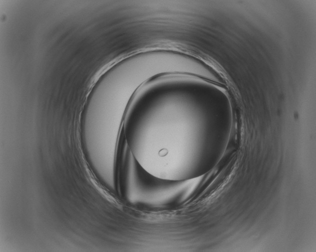 X0000087640842200705031508